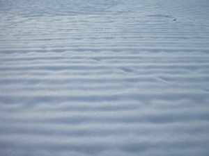 2008_02_05.jpg