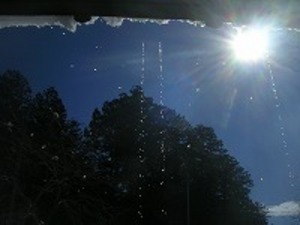 2008_02_11.jpg