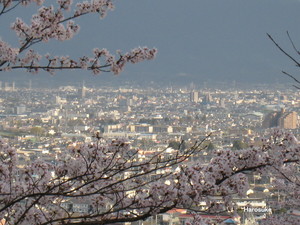shikisima1