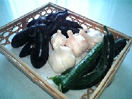 shukaku1.jpg